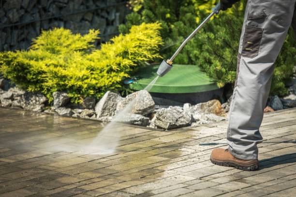 Best Spring Cleaning  in Micco, FL