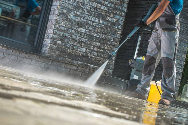 Best Graffiti Removal  in Micco, FL